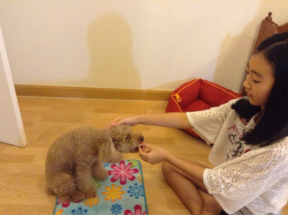 Then after you are done with all of those steps, give the treat that was in your hand to the dog. While giving the treat, pat his/her head and say good boy or good girl.