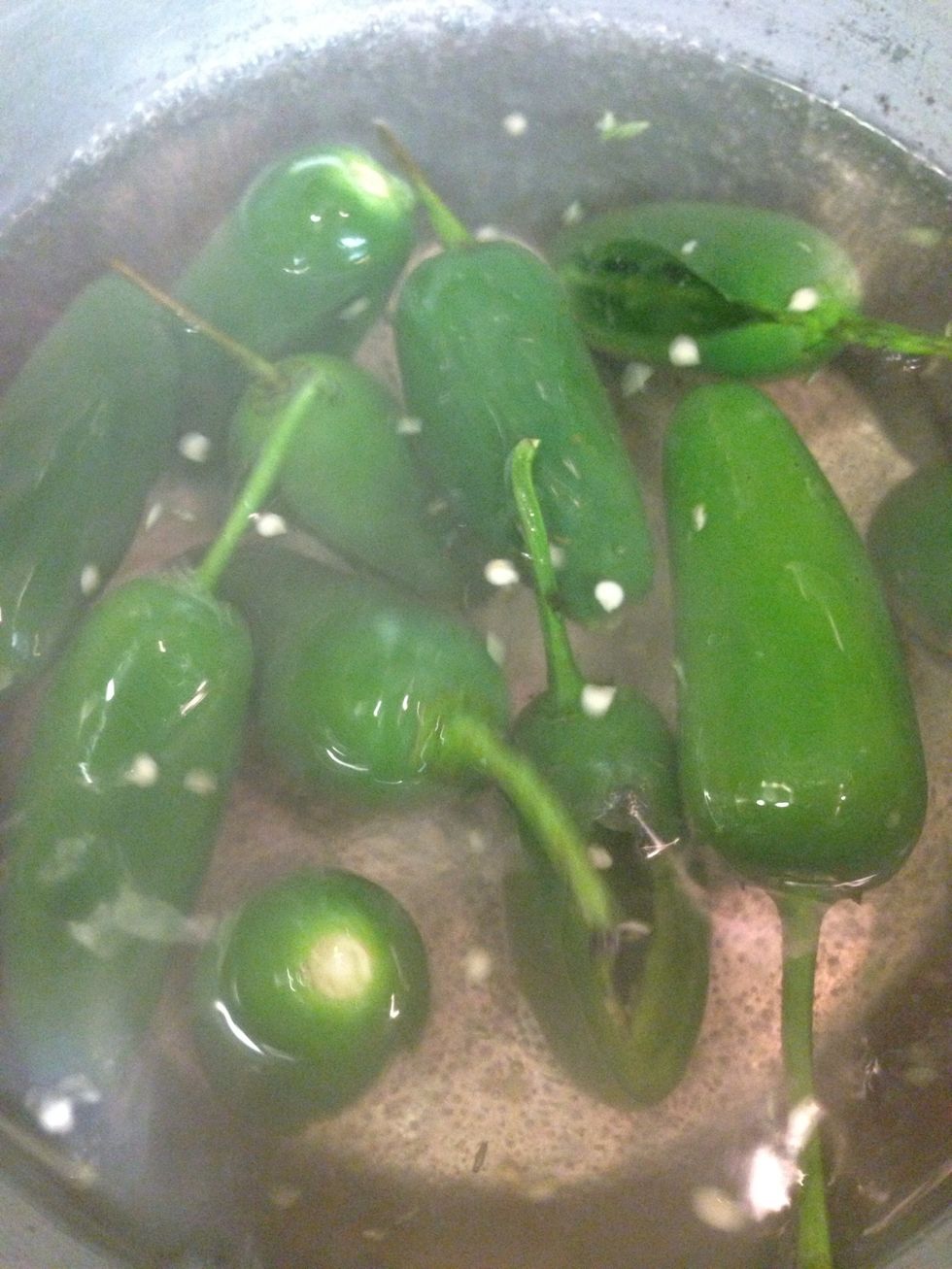 Then boil them for 10 min