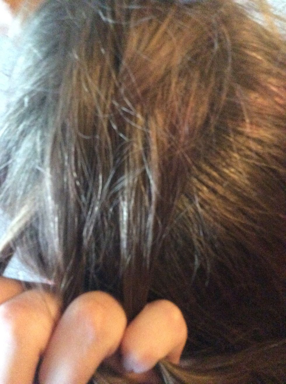Then braid normally ( without adding lose hair) until every section has moved from its original spot