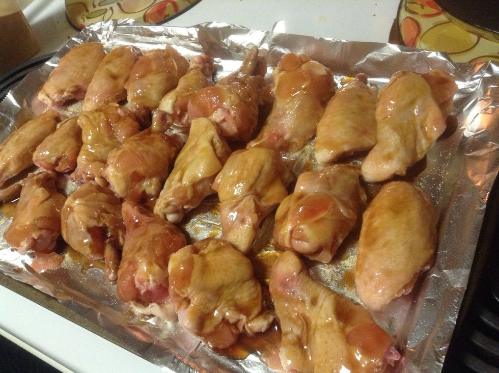 Then brushed it on the wings