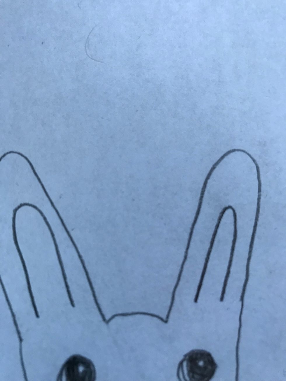 Then comes the ear inlets