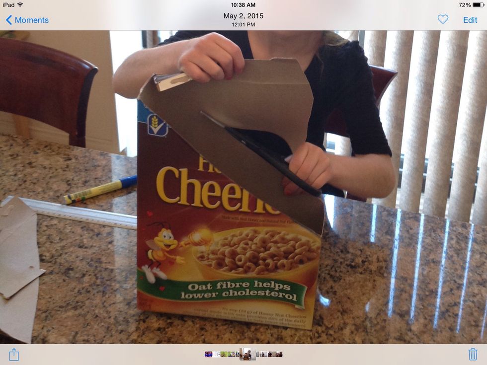 Then cut along the lines