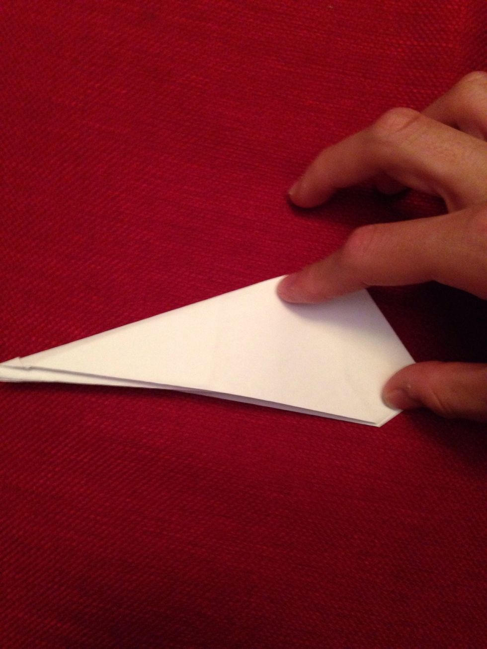 Then do it for the other side of the wing.