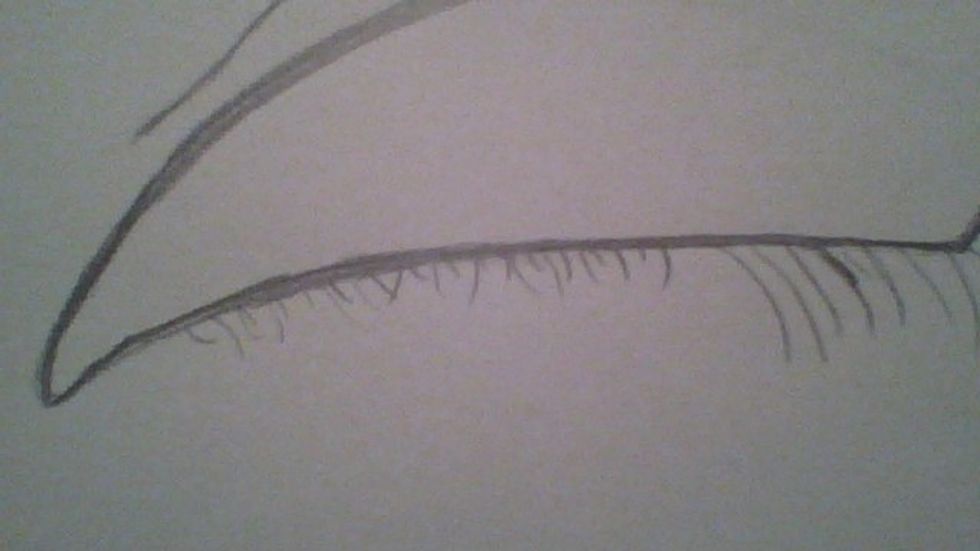 Then do little lashes