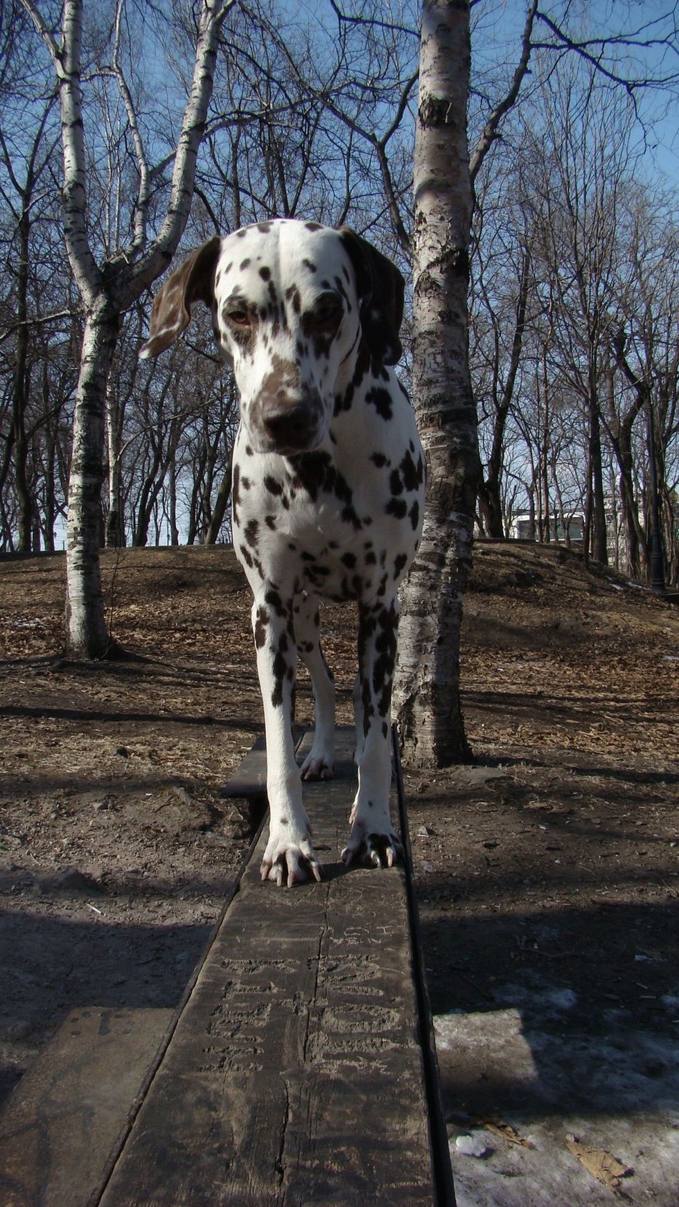 Then do some log balancing - this will help you not fall after you see $$$ in your contract.