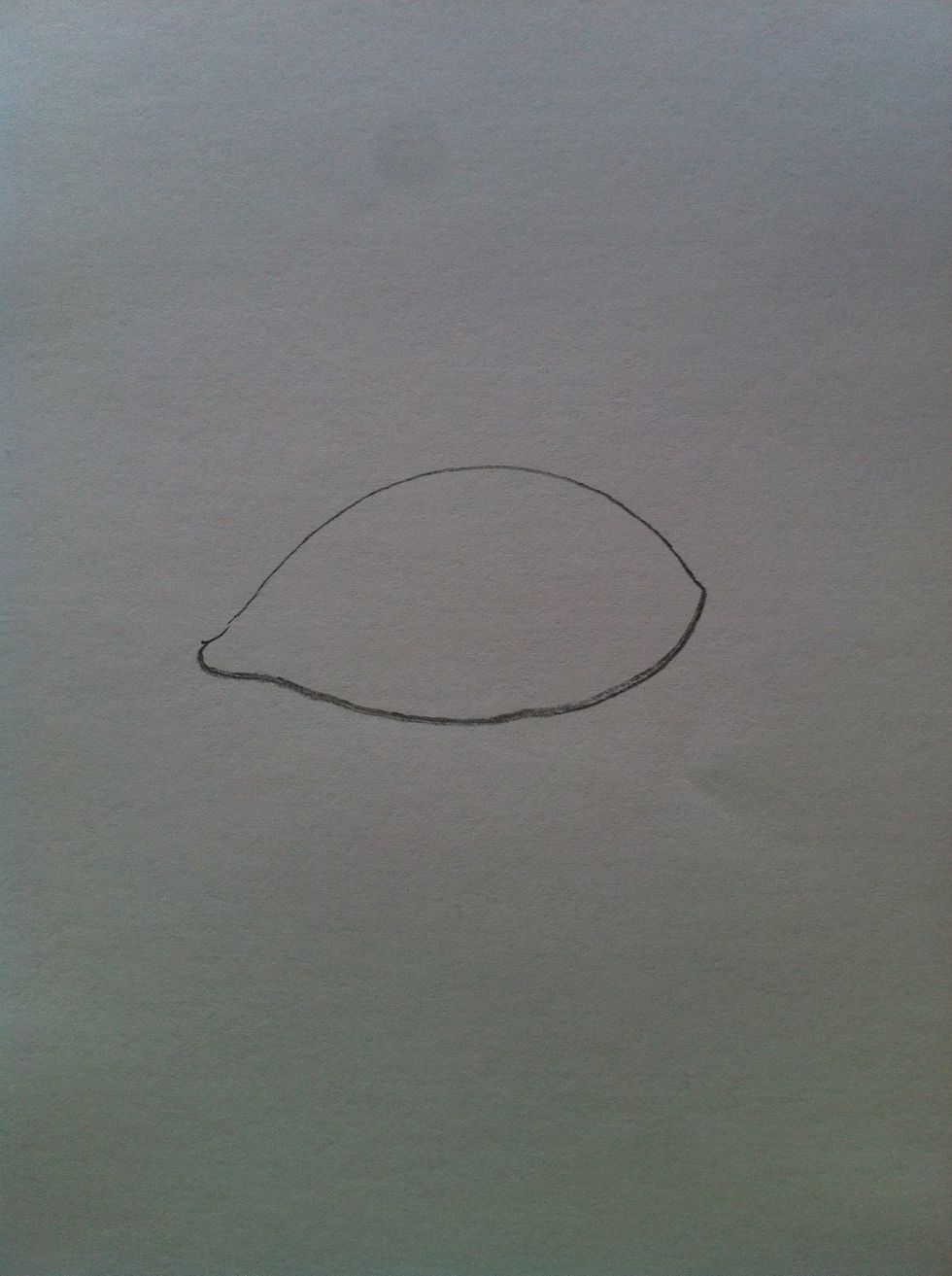 Then do that bottom!