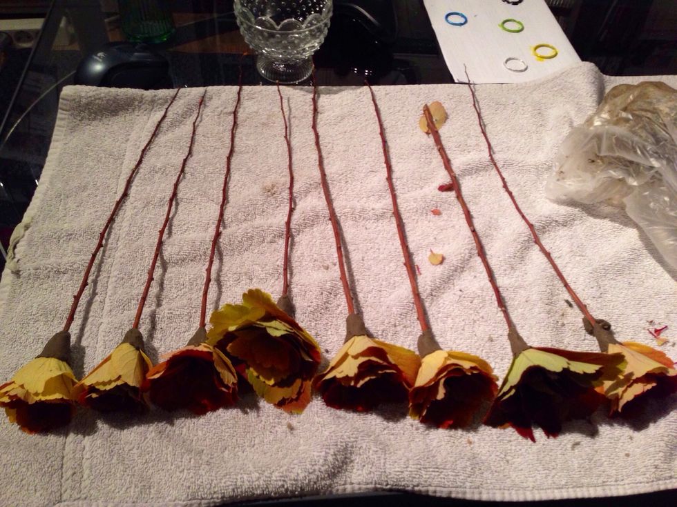 Then do this process until you have the amount of flowers you want