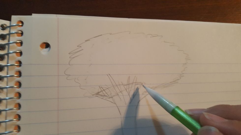 Then draw in the actual leaves by scribbling a type of circle shape on the top. The scribbling can be in puffy circles or in jagged lines.