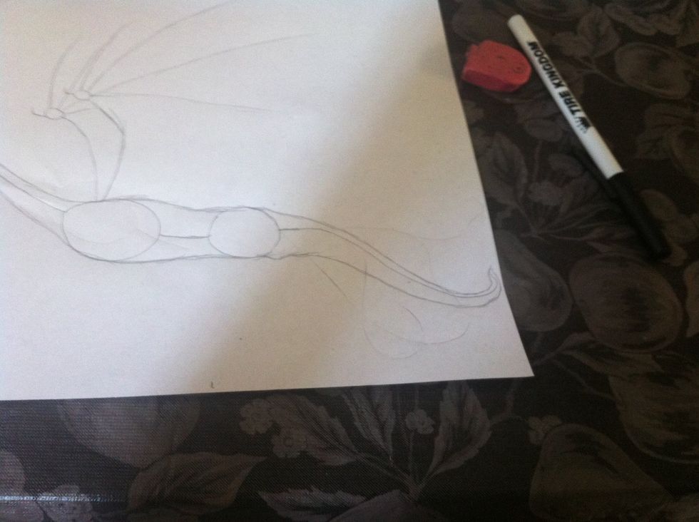 Then draw the body and the tail ( as u can see make sure there's a little "hump" at the bottom of the tail when the tail starts to form)