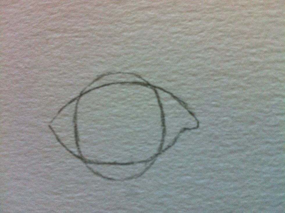 Then draw the iris. Imagine it as a circle. The iris should not be a full circle, the top and bottom edges are covered by the eyelid.
