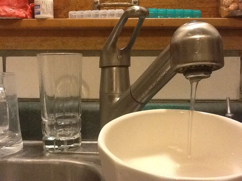 Then fill the bowl halfway with water