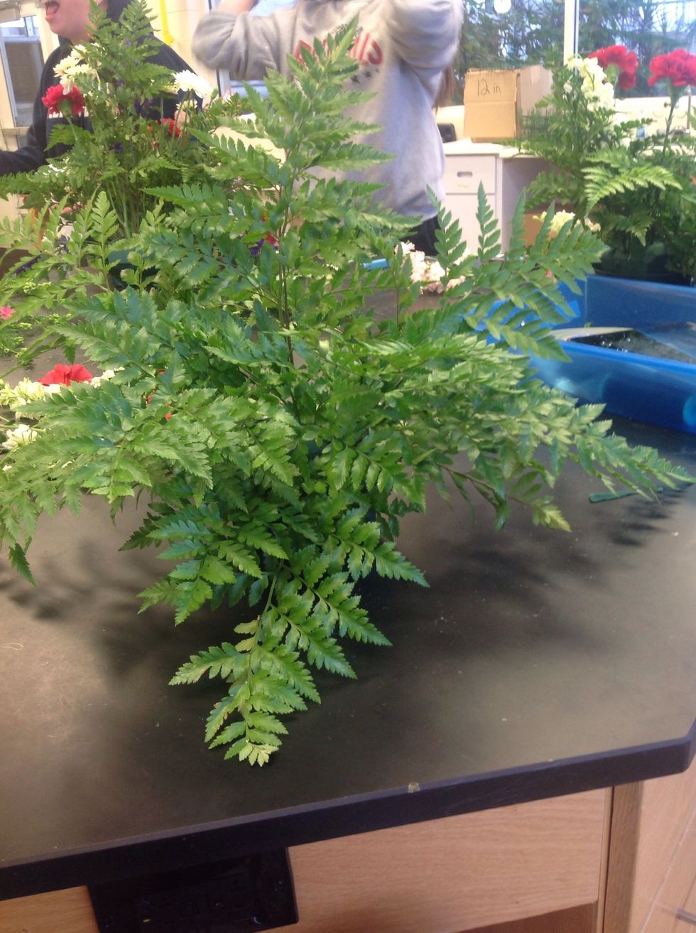 Then fill the empty spaces with leather leaf maintaing the triangle