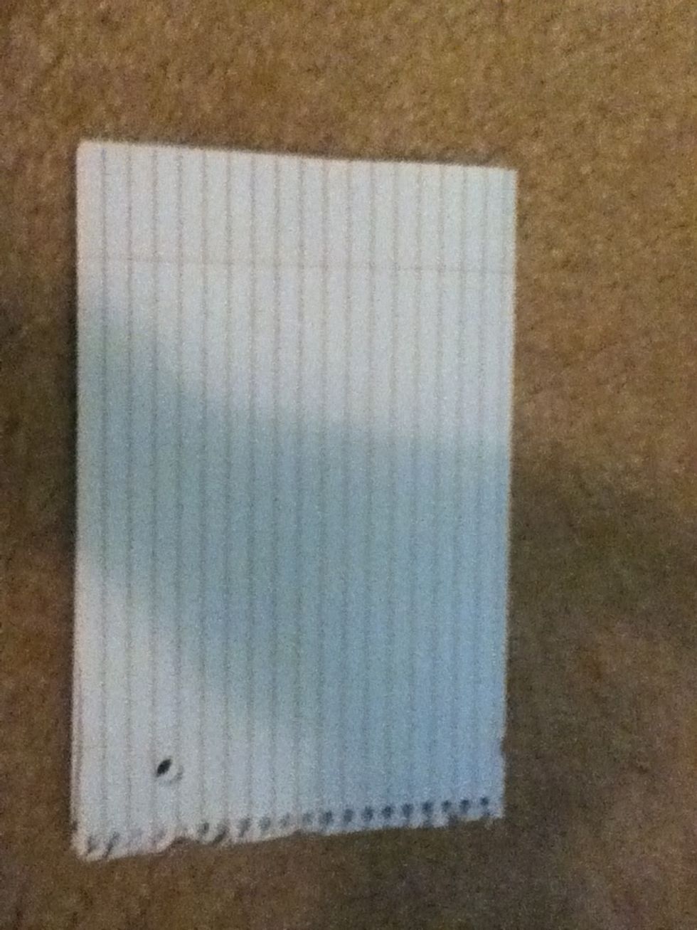 then fold it in half hamburger style