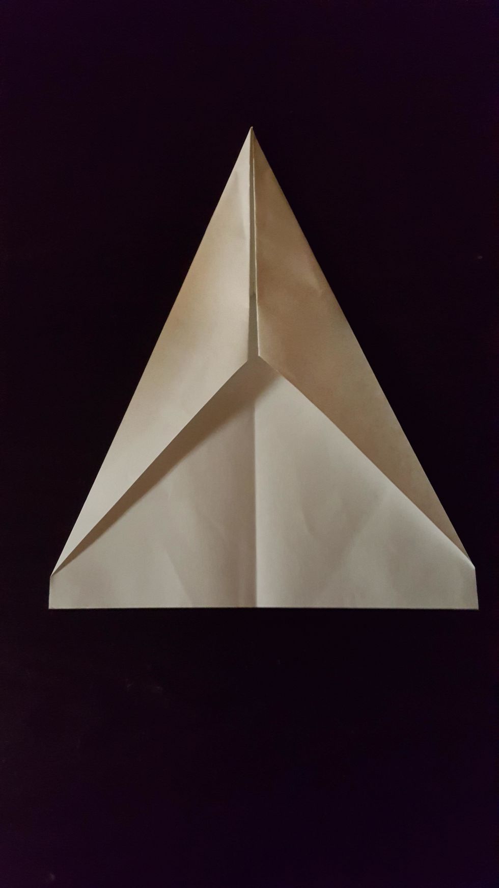 Then, fold same corners to fold line again.