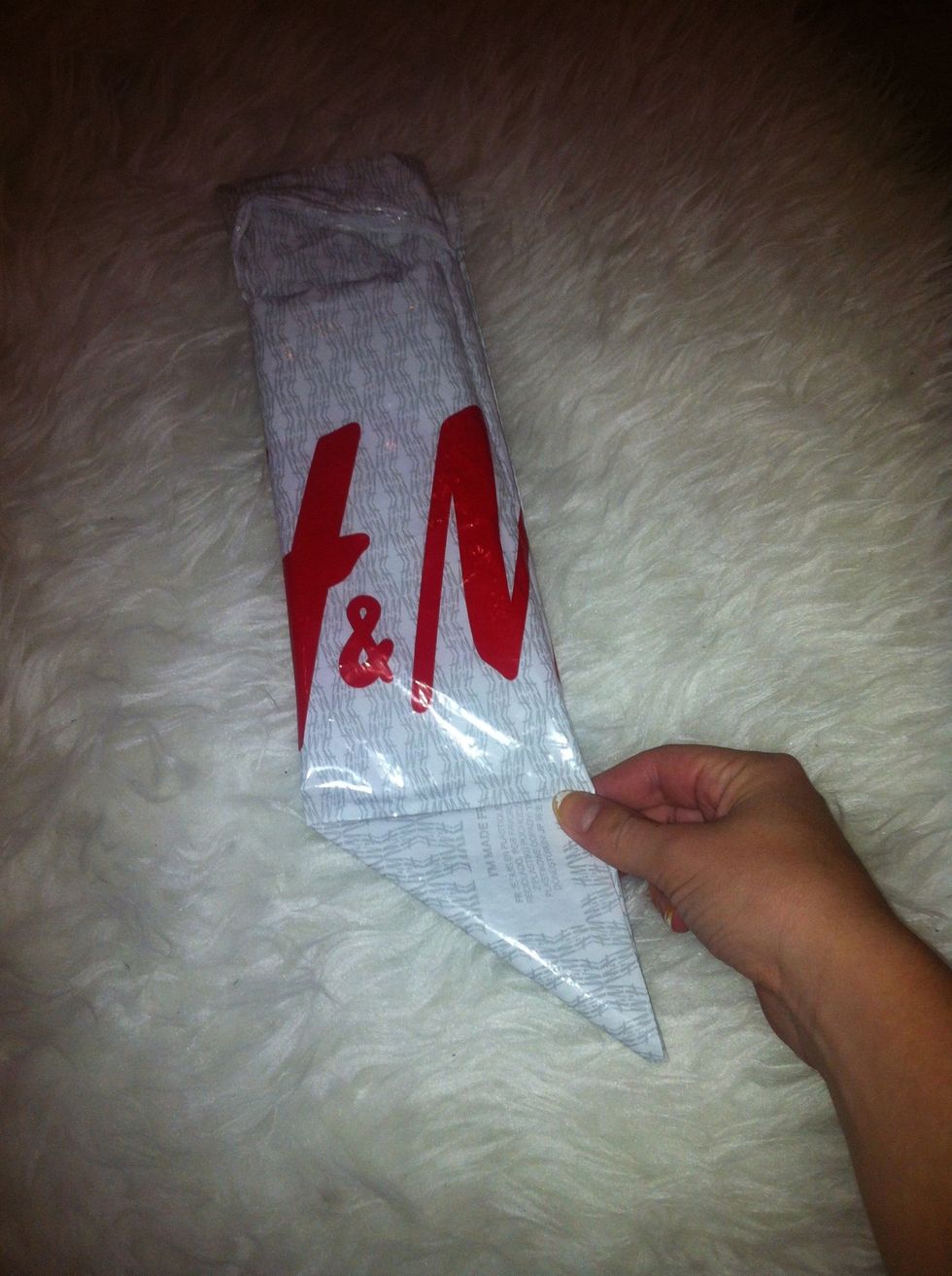 Then fold the bottom once, just like a triangle.