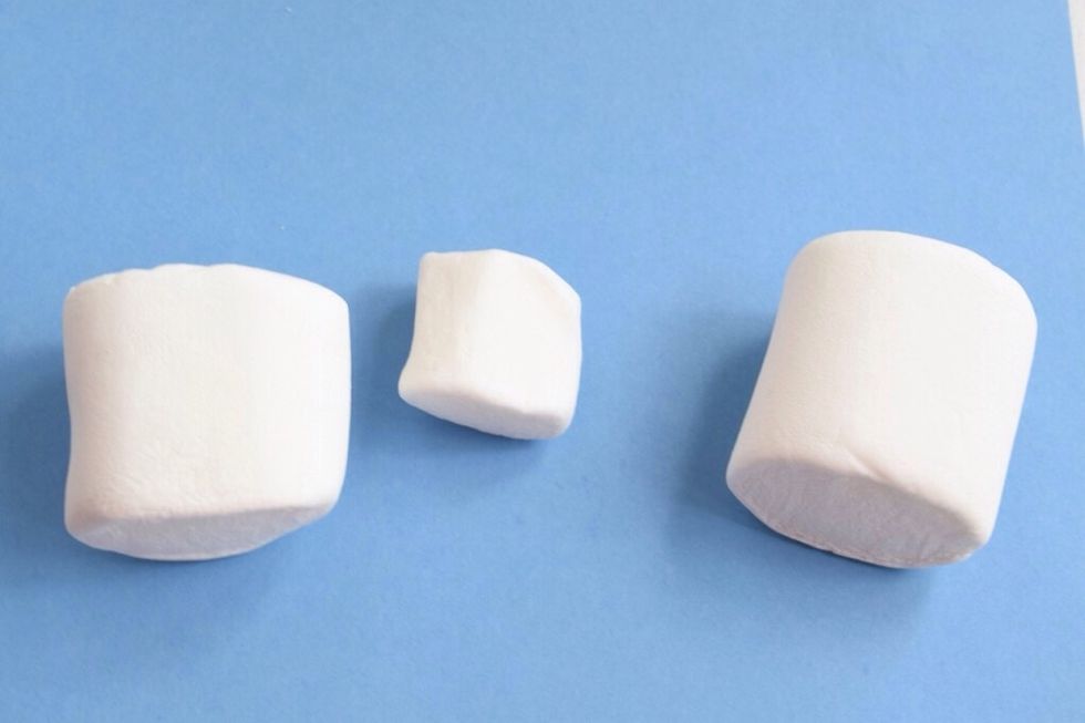 Then get out your marshmallows.