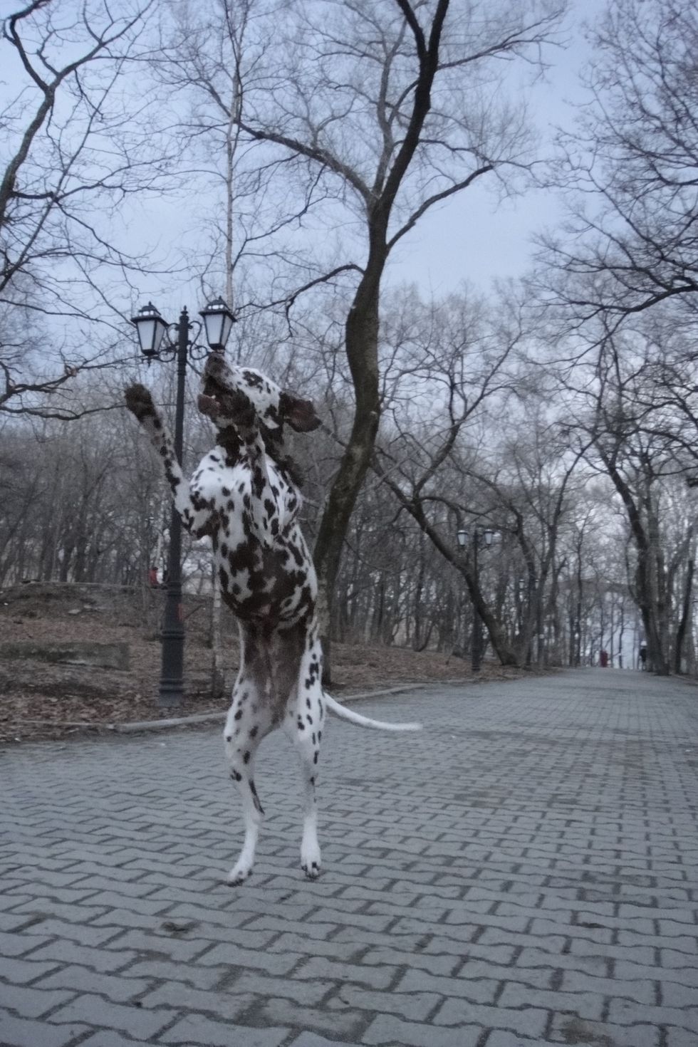 Then go for some jogging and jumping in the park.