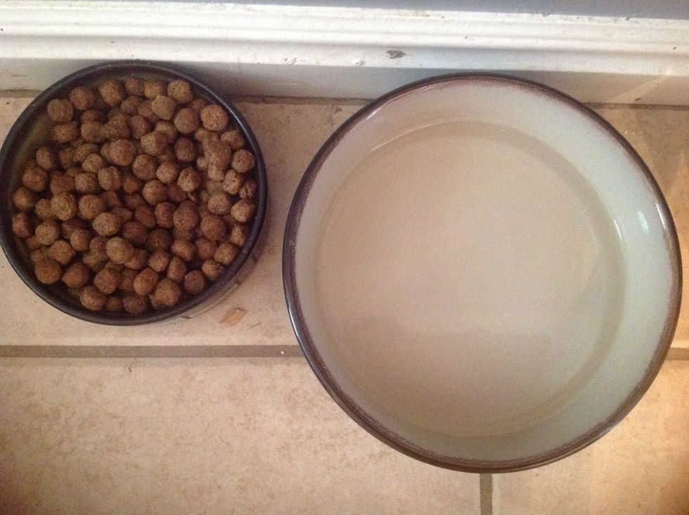 Then I feed and water my dogs. Just in case they run out of food!! \ud83d\ude0a
