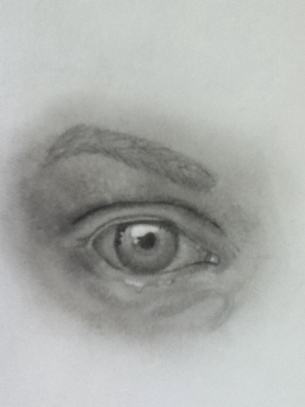 Then I worked on the shadows of the lower part of the skin... Then I sketched in the eyebrows lightly.