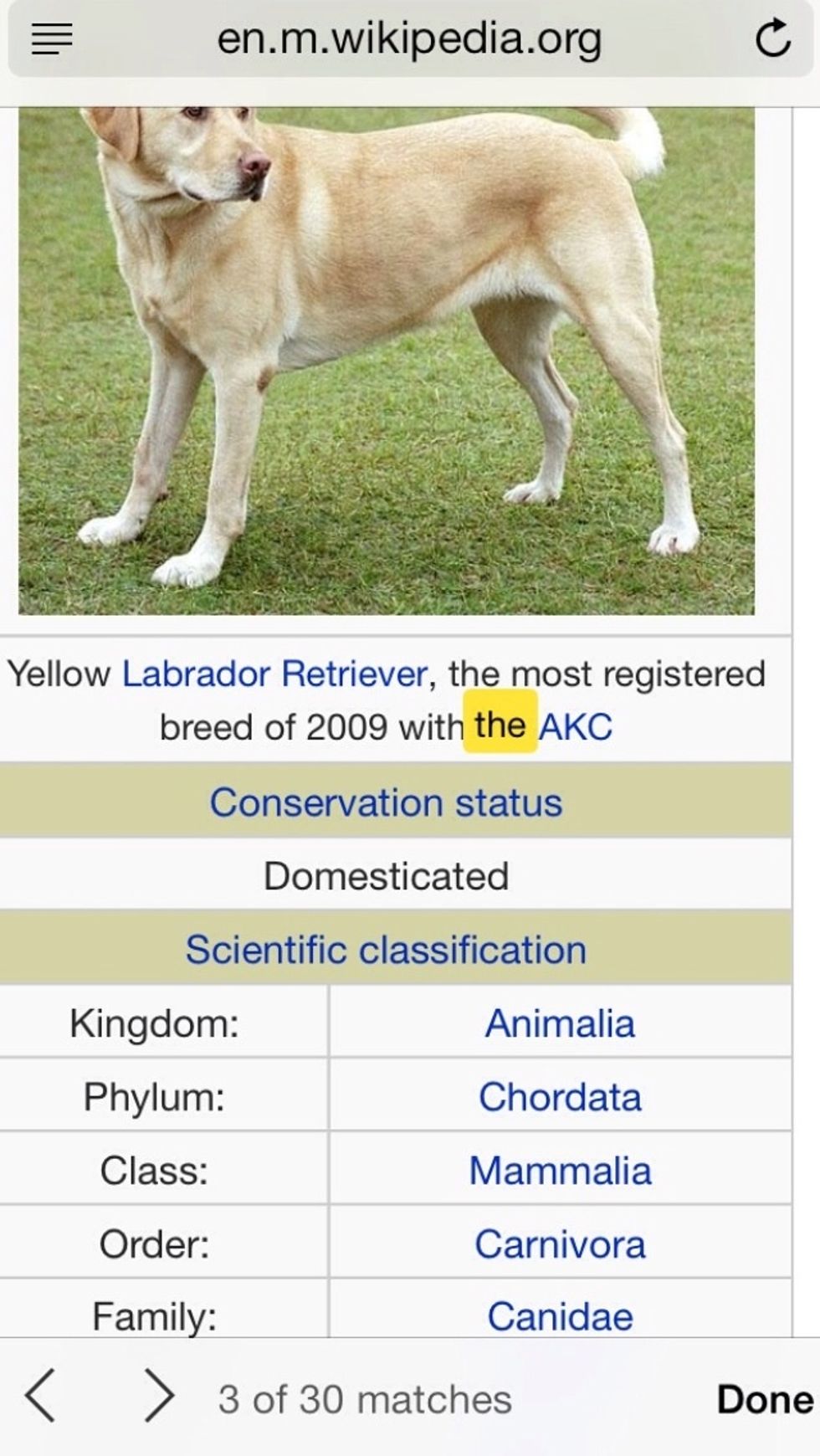 Then it will take you to your page and hight all the words you searched for. Then on the bottom there are two arrows \u2b05\ufe0f\u27a1\ufe0f which goes through all the matches found and how many there are.