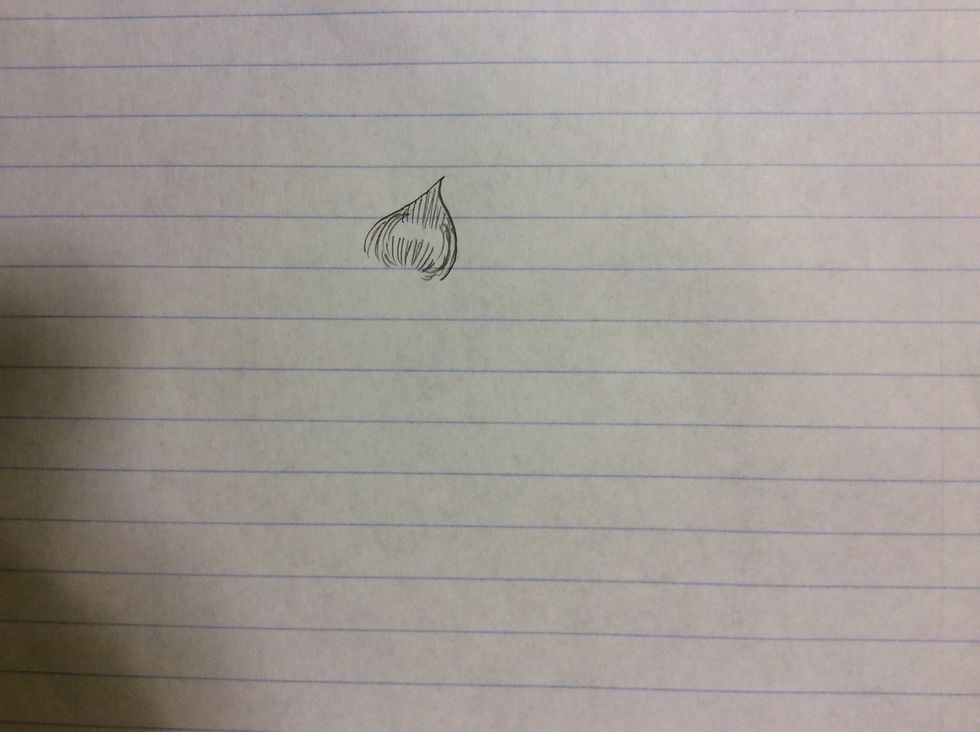 Then just add pencil strokes going upwards from the very bottom of your petal kind of blending in with the side strokes.