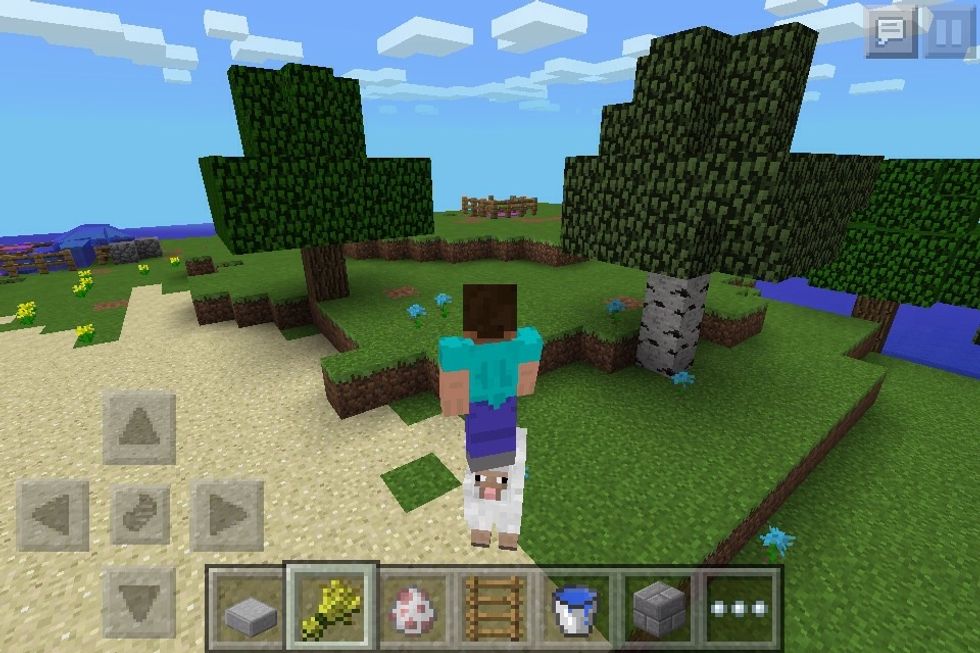 Then just stay there but just scroll down so you are seen from the side. Then quickly take a snapshot and show all your friends that you can stand on animals!!!!