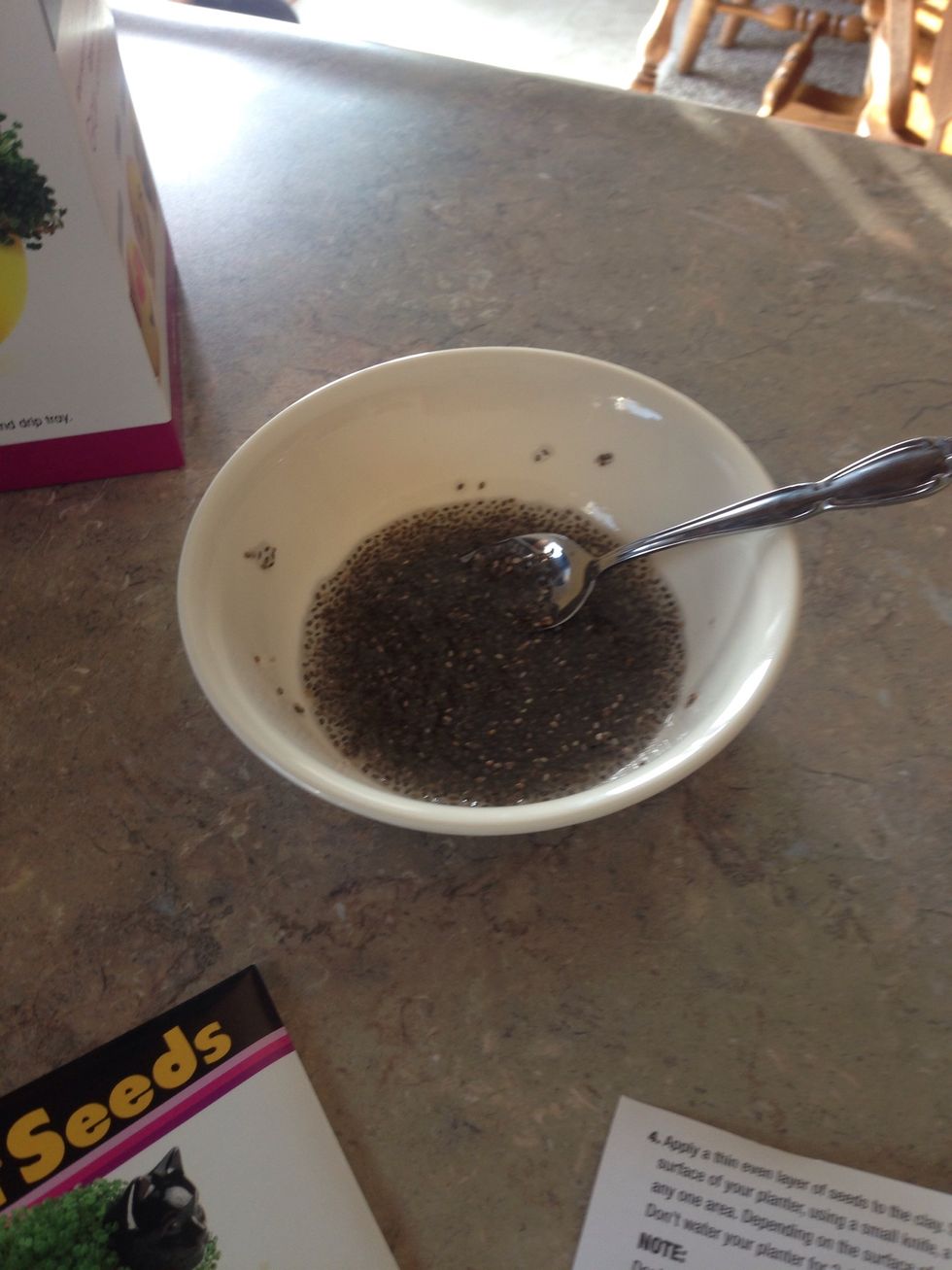 Then leave the seed mix out for 10 minutes