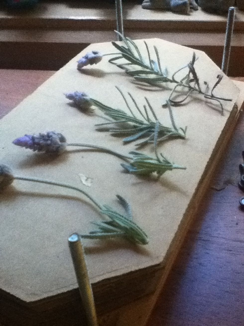 Then more flowers.