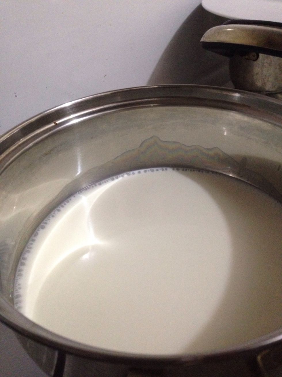 Then on stove, pour milk to saucepan and bring them just to a boil (not boiling hot, just until bubbles come out)