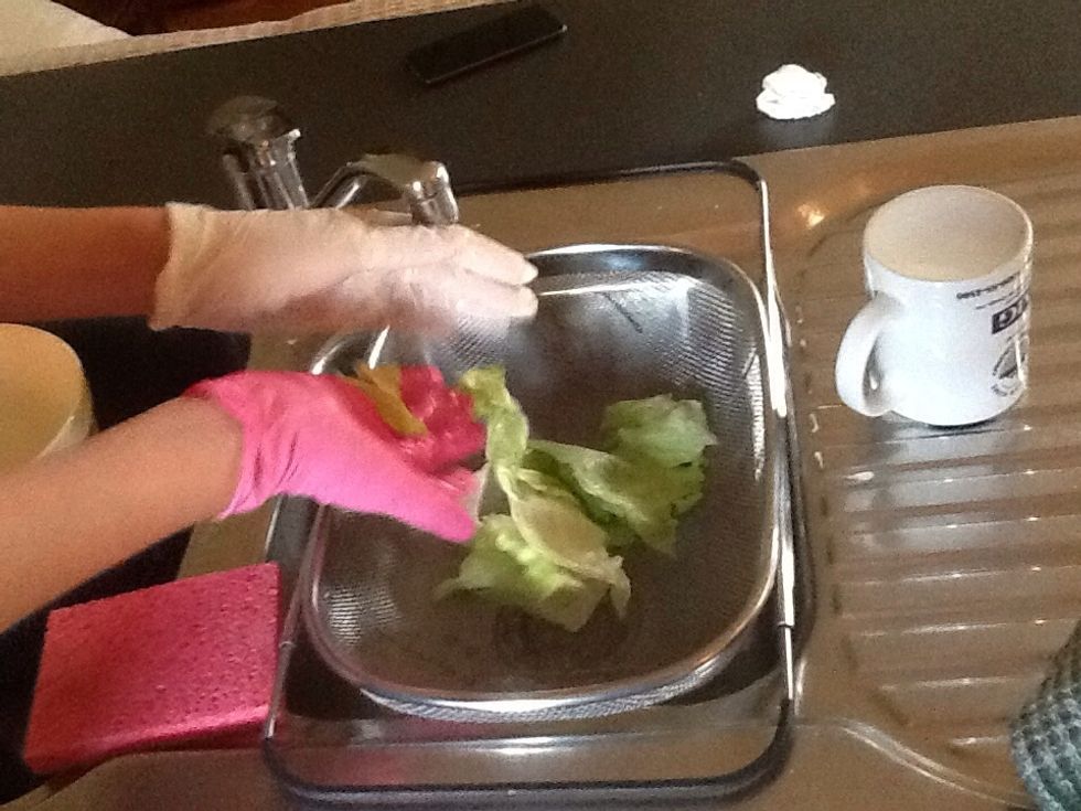 Then place the lettuce into a sieve of any kind over the sink, and rinse it.
