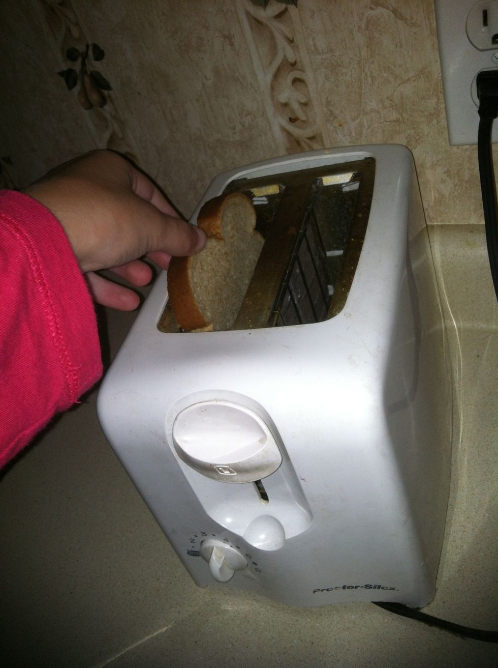 Then place the slice of bread into the toaster