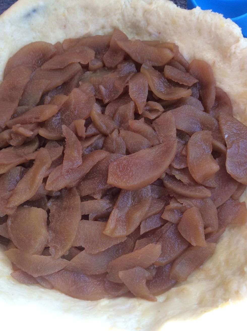 Then place your pastry in your dish, and then once the apples have cool down spread them evenly in the dish until you don't have anymore apples.