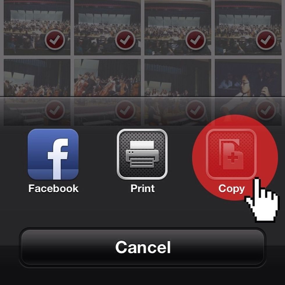 Then press "Copy." Now all the pictures you selected are copied on your clipboard.