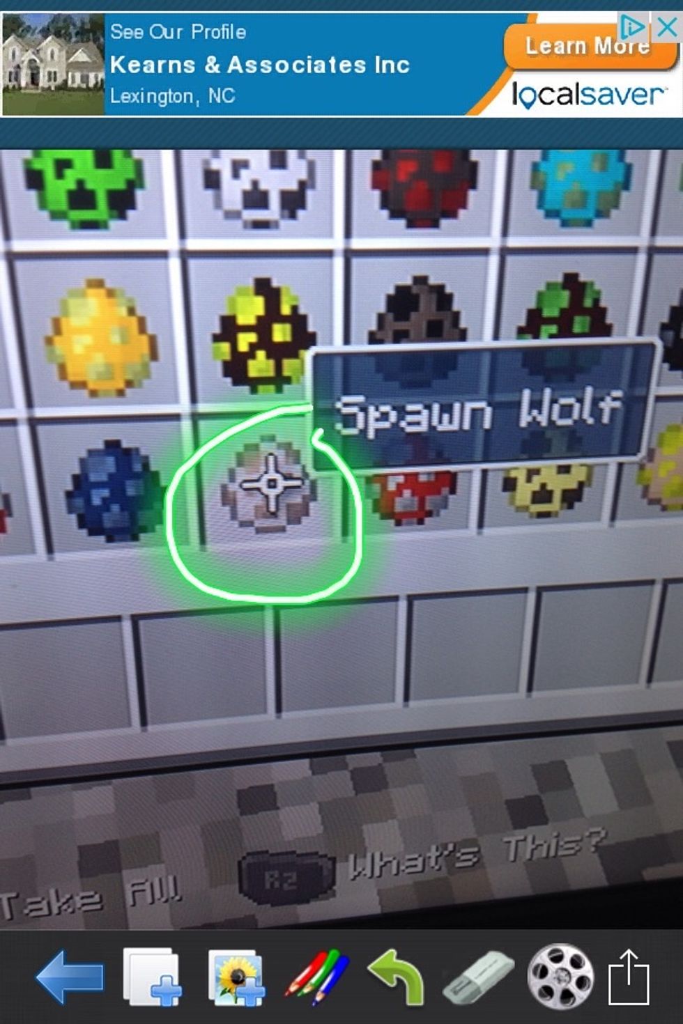 Then press x on the wolf spawn egg