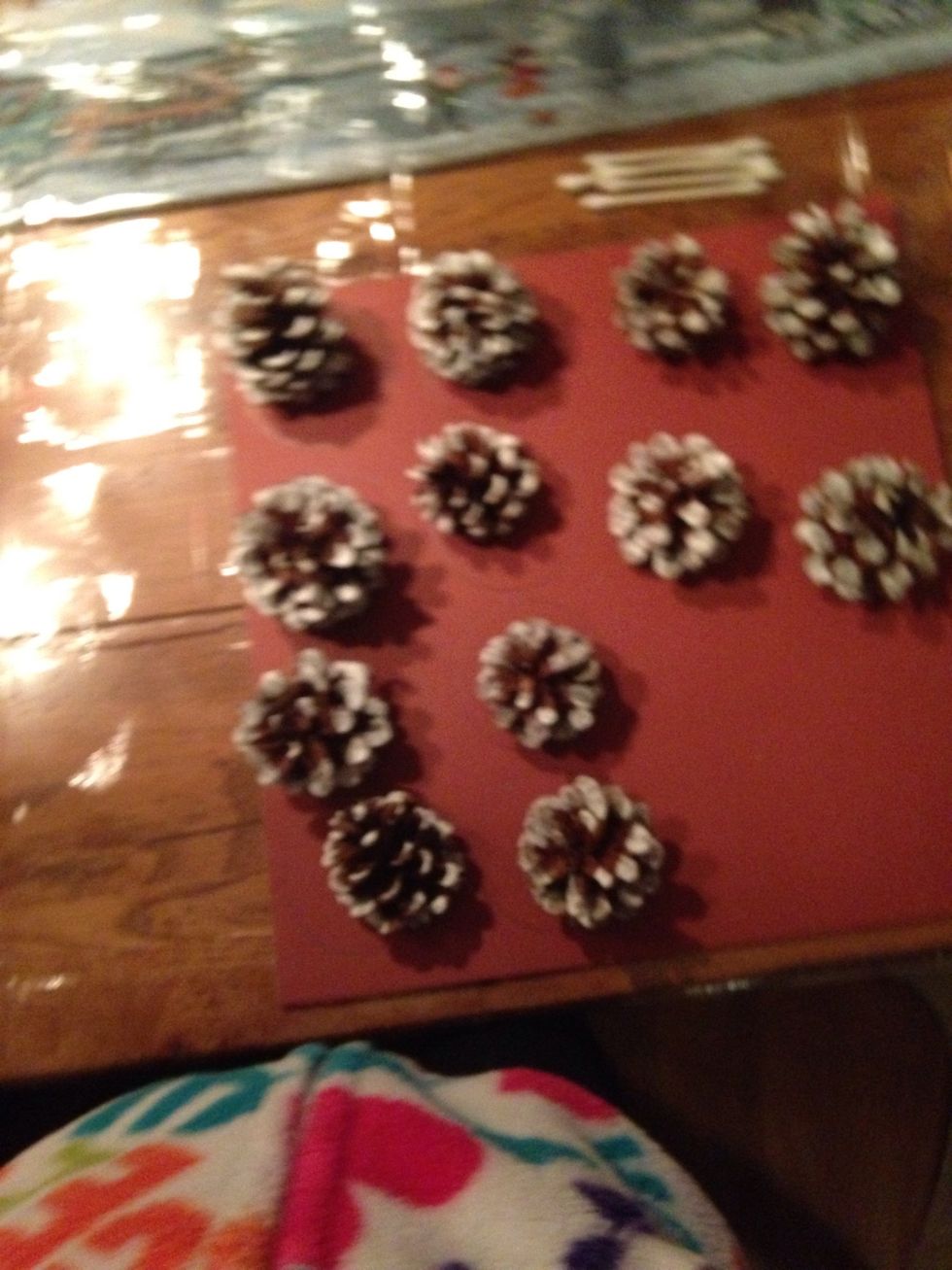 Then put each one of the pinecones in one of the circles you drew cut the circles out and then you glue the pinecone on to the circle then with your wineglass you glue the pinecones into the wineglass
