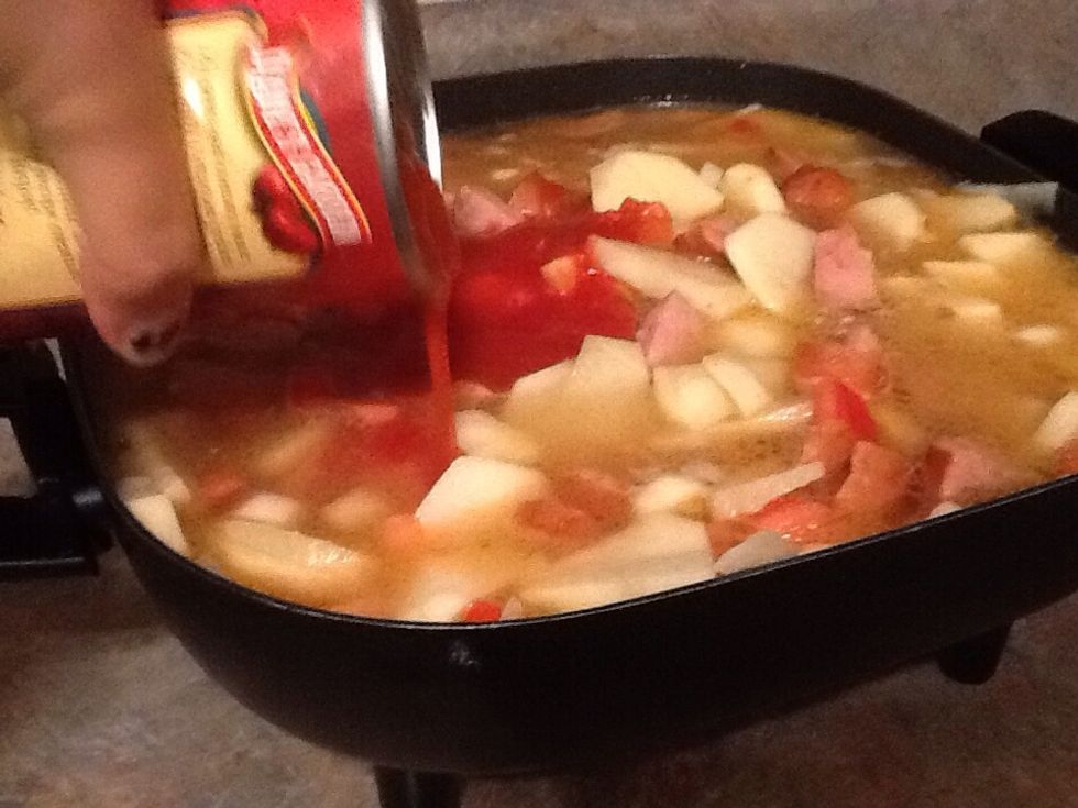 Then put the one can of tomato sauce in it