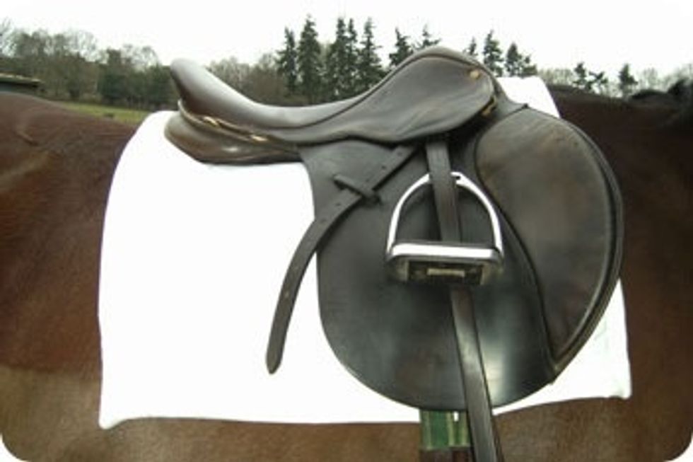 Then put the Saddle on the Horse's back. The shape must fit your Horse Perfectly, or it wont be very comfy for the Horse or you. You must then do up the Girth or you will slide of when you are riding.