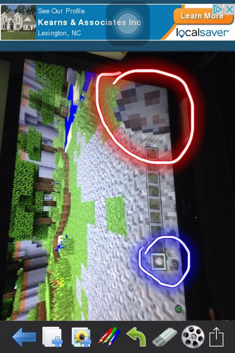 How to tame a dog on minecraft (ps3 version) - B+C Guides, image size:800x1200