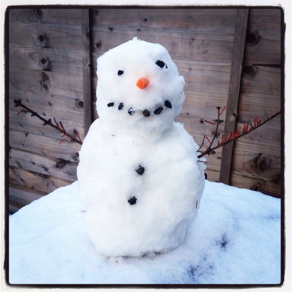 Then put two sticks on the Side.