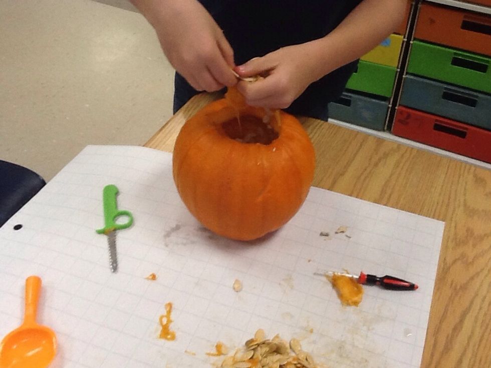 THEN,seperate the disgusting, mushy, orange guts from slippery seeds!