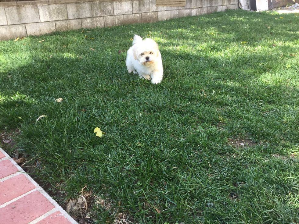 Then she will have a orange mustache \ud83d\ude04