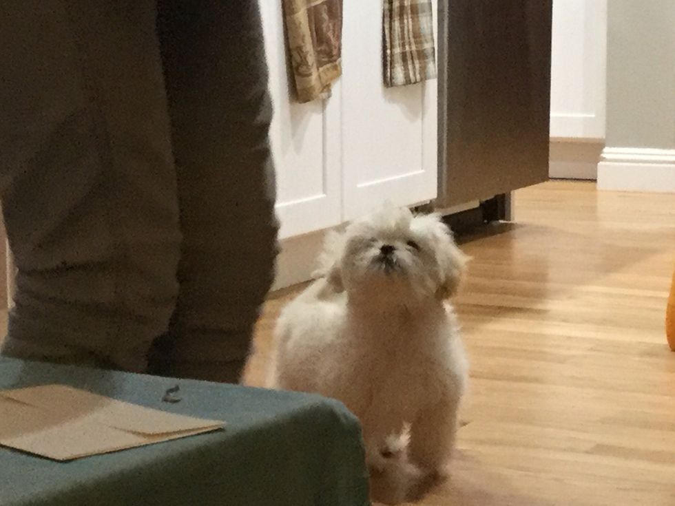 Then she will think there will be more, but there is none\ud83d\ude17