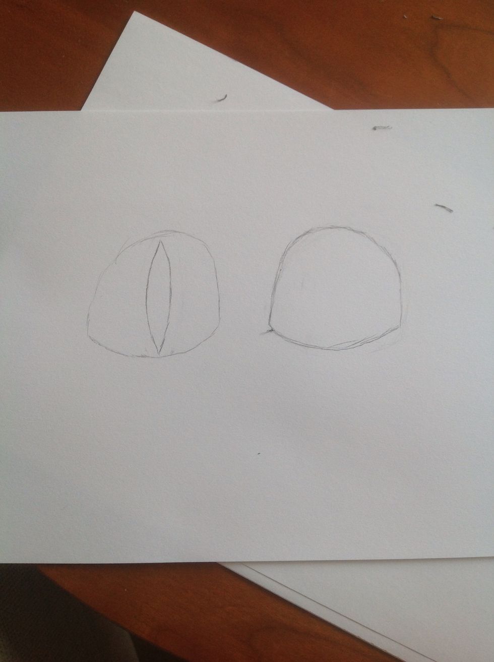 Then sketch the pupils.