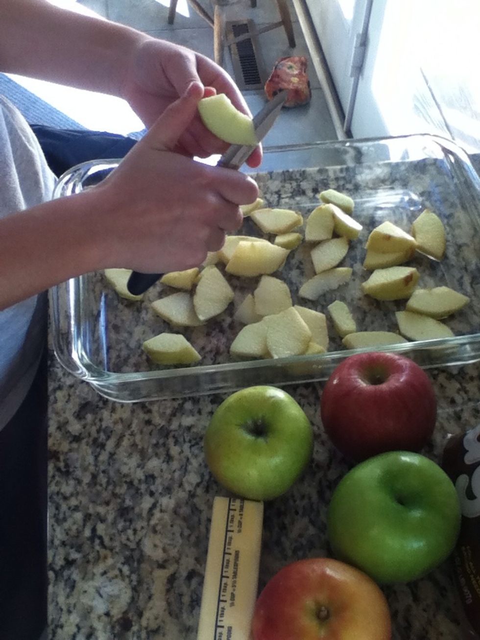 Then slice the quarters into the 9x13 pan