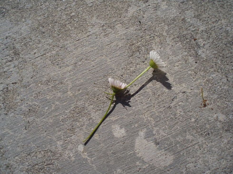 Then slide on daisy into it and you've got your first chain.