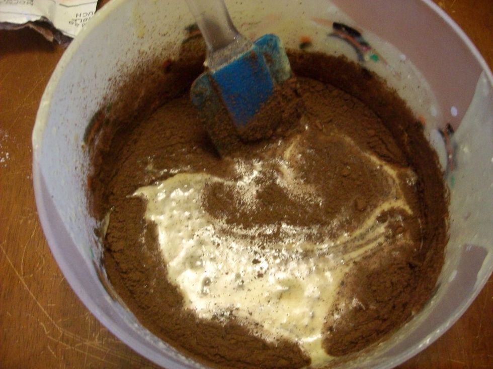 Then sprinkle cocoa mixture from small packet into the remaining batter in mixing bowl, blend.