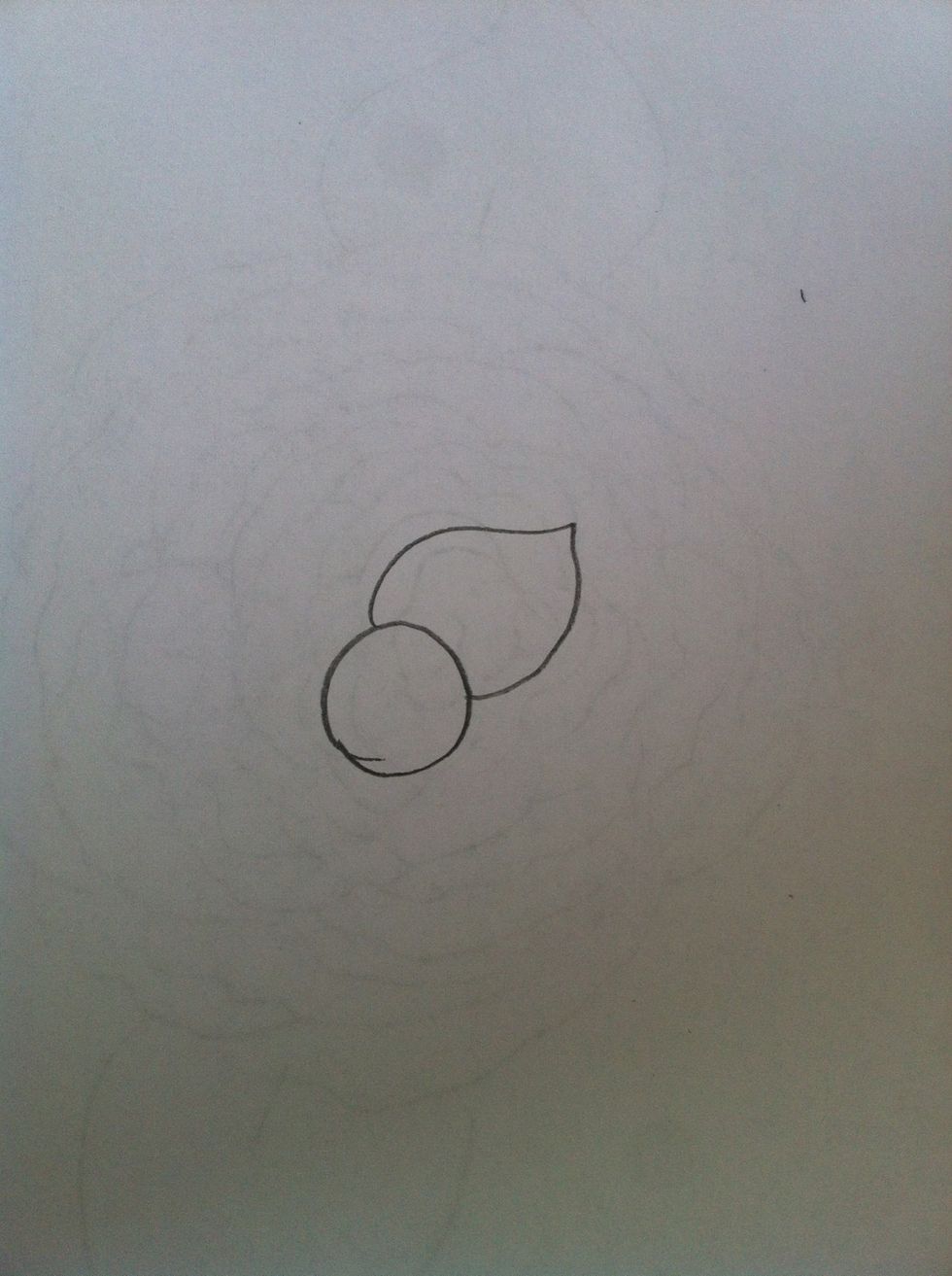 Then start doing the petals