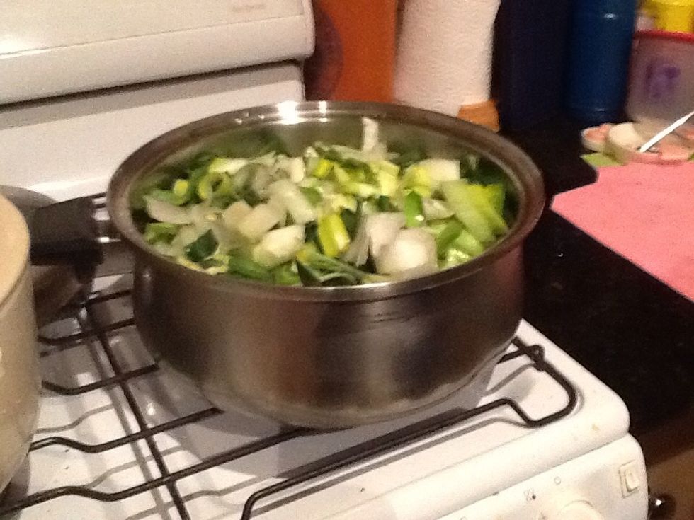 Then steam the leek and wait till its softer, turn off the heat and cool down