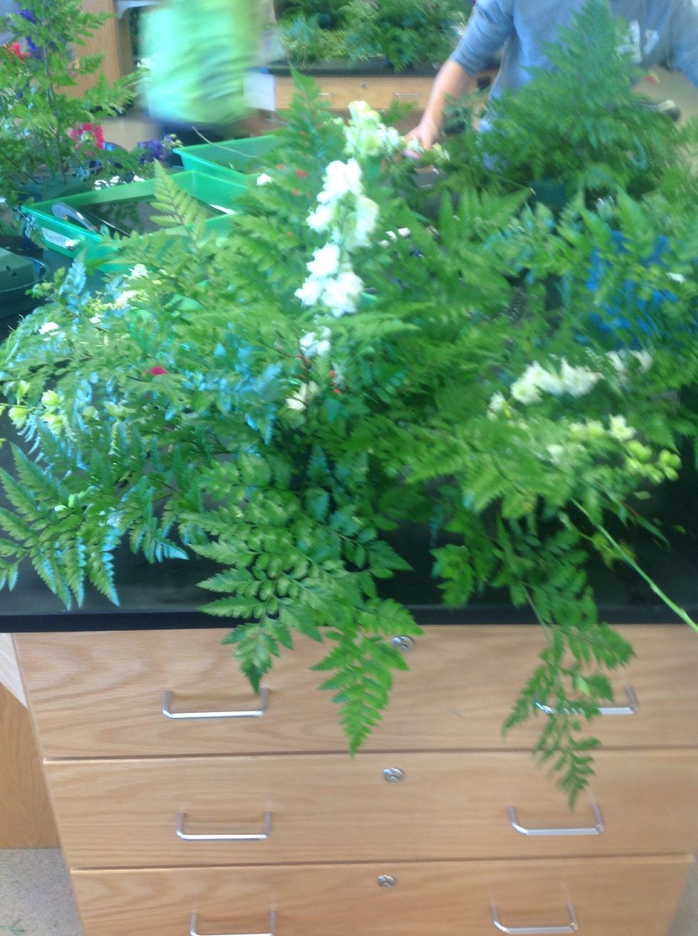 Then take the larkspur and make a triangle with those and then put one in the front