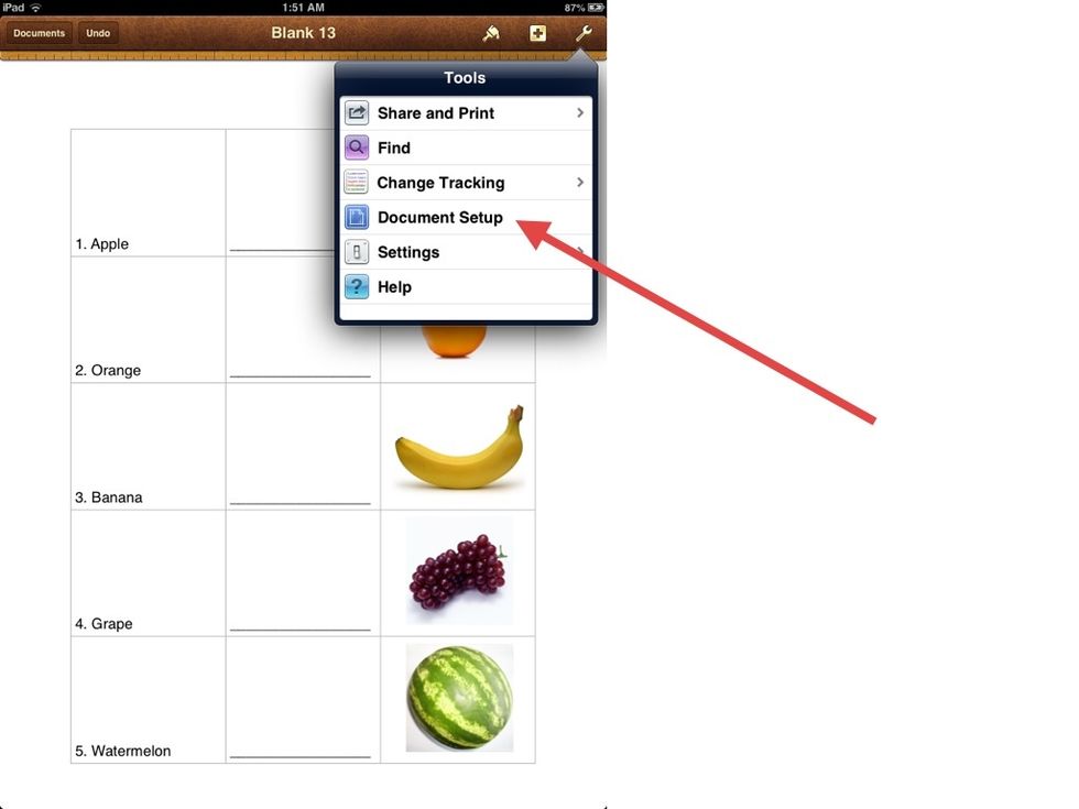 Then tap DOCUMENT SETUP